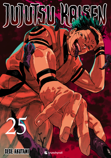 Jujutsu Kaisen 25